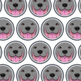 Premium Gift Wrap Wrapping Paper Roll Pitbull Pit Bull Dog - Face Blue Nose