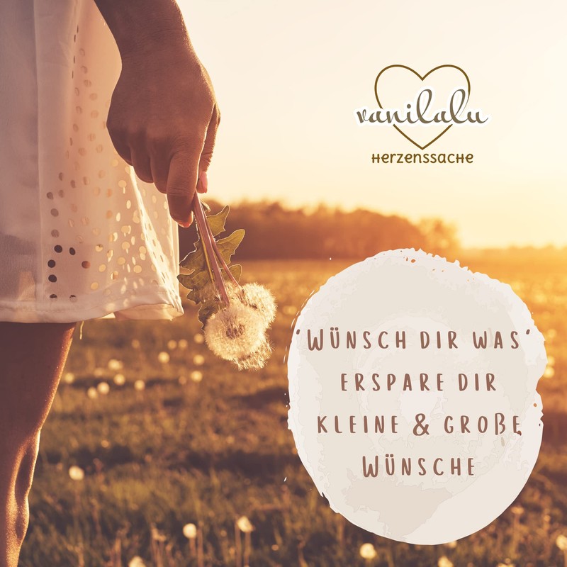Vanilalu - Large money box for coins - wish filler
