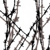 MyDipKit Shadow Barb Wire - Hydrographics Film Kit LL-209 -