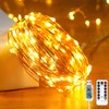 Ariceleo Fairy Lights 65.6 ft. 200 LED USB Twinkle String
