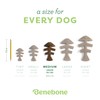 Benebone Fishbone Durable Dog Chew Toy for Aggressive Chewers, Real