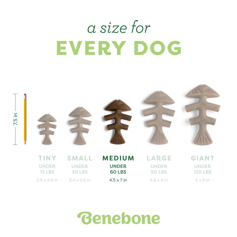 Benebone Fishbone Durable Dog Chew Toy for Aggressive Chewers, Real