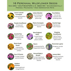 Southeastern US Bulk Perennial Wildflower Seed Mix 1lb Covers 2,000sq-ft - Attract Pollinators, Multi-Color Blooms - Southeast US Species Plant in Spring/Fall, Earth-Friendly Packaging (1/4 Pound)