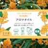 Loose Osmanthus Aroma Oil, 0.3 fl oz (8 ml), Sweet