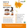 Renew Actives Turmeric Liquid Extract with Ginger & Lemon Oil
