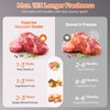 Powerful Vacuum Sealer Machine,Precision Vacuum Sealer Machine With Bag Cutter,Compact