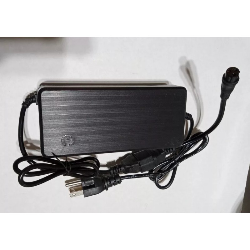 coming data smart fast battery Charger 60v 3a for Dualtron