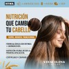 Vitacilina Shampoo Nutritivo de Avena y Coco, Botella de 400ml