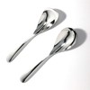 Yamazaki Metal Kogyo Curry Saku Spoon