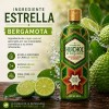 Shampoo Huichol Bergamota 400 ml Crecimiento y Anti Frizz