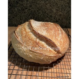 SanFranSourdough California SOUR STARTER tangy active  strong Sourdough bread Organic