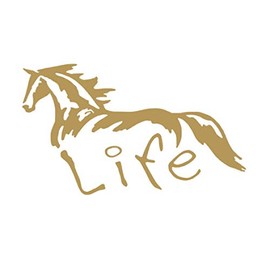 Horse Life Lover Vinyl Sticker Decals (Pack of 2) for Car Bumper Window Laptop Tablet Phone (8" x 4.6", Gold)
