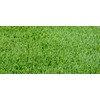 TLC Tall Fescue Grass Seed Blend (5 Lbs.)