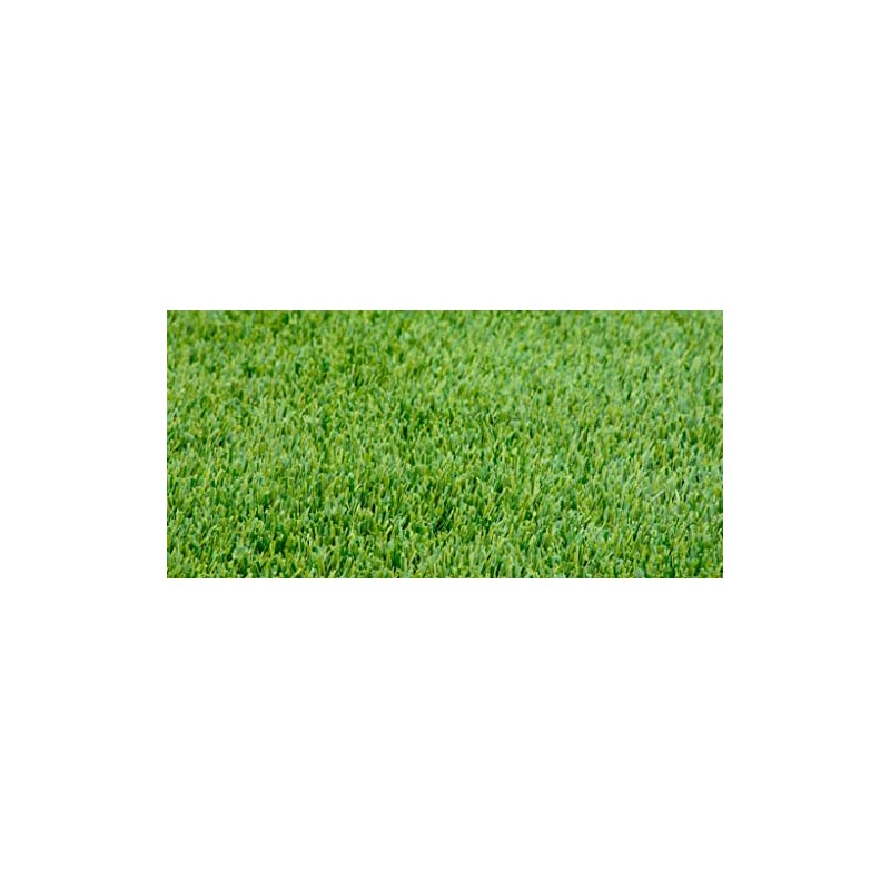 TLC Tall Fescue Grass Seed Blend (5 Lbs.)
