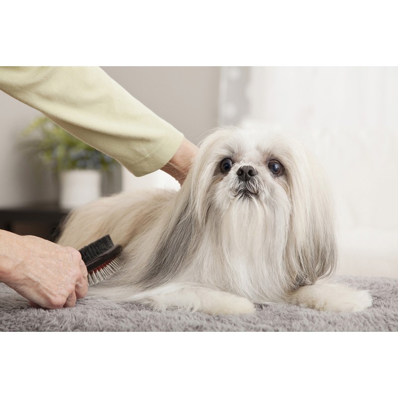 JOYPET Water Free Foam Shampoo For Dogs, 7.8 fl oz