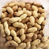 C.J. Dannemiller Peanuts in the Shell, Bulk 10 LB Box,