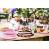 Exquisite Pink Plastic Plates For Party Plastic Disposable Plates For