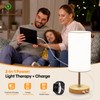 NIORSUN Light Therapy Lamp,10000 Lux Sun Lamp with Remote,3 Color