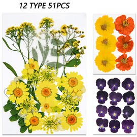 Vignee 51 PCS Real Dried Pressed Flowers Leaves Petals for Crafts Yellow- Beautiful Pressed Flowers Daisies for Resin Jewellery, Pressed Flowers Nail Pendant Crafts Making Craft DIY Accessories