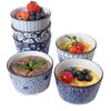 6 Oz Ceramic Ramekins, Creme Brulee Ramekin Oven Safe for