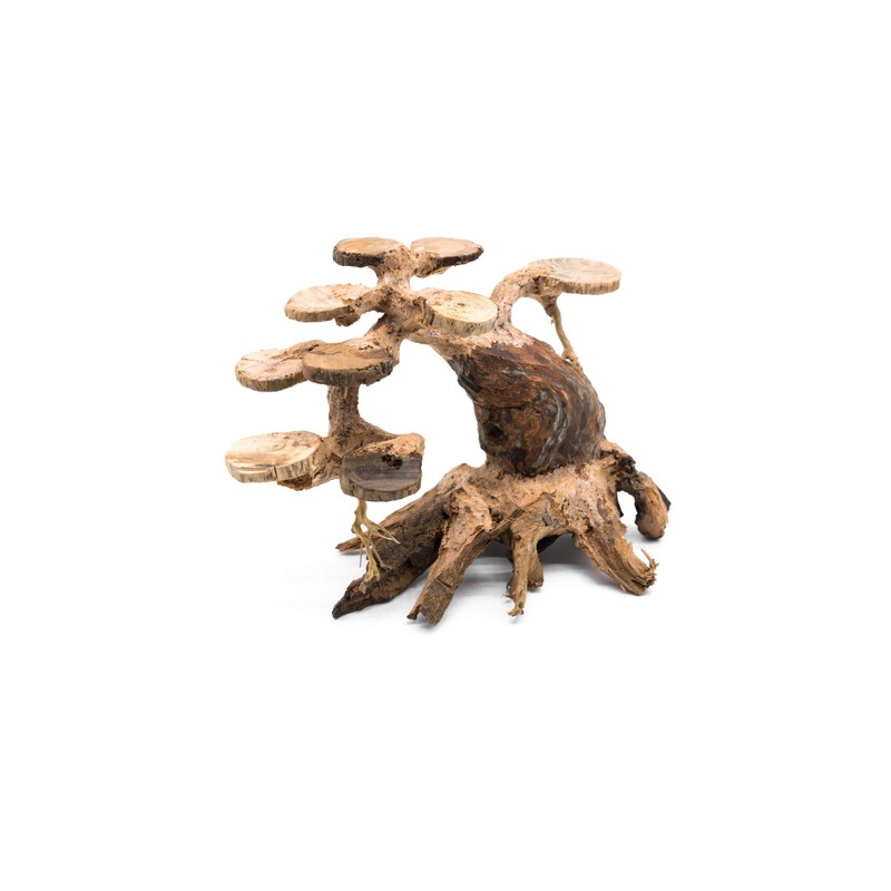 SubstrateSource Aquarium Bonsai Tree Driftwood Small (200S)