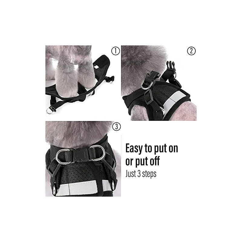 Arnés con correa para Perro Chico o Gato, diseño cómodo