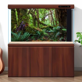 Jungle Forest Aquarium Background Rainforest Lush Green Moss Terrarium Background Deep Fantasy Old Trees Green Ferns Fish Tank Background Tropical Jungle Trees Reptile Habitat Background 24x16in