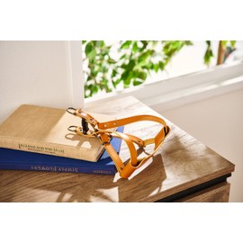 POP Sand Tochigi Leather Dog Harness for Medium Dogs, Camel, Size M, Made in Japan, BONBI ALCON