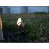 Lumen Logic 12V 6W Solid Brass (Bronze) LED Outdoor Spotlight
