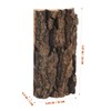 DOITOOL Korkrinde für Reptilien Vivarium Rückwände Dekoration Baum Hintergrundplatte für