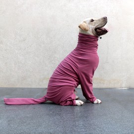 ARUNNERS Extra Large Dog Pajamas Pjs Bodysuits Full Body Coverage Onesie Clothes Anxiety Calming Surgery Recovery Suit for Great Dane, Dark Red, 5X-Large