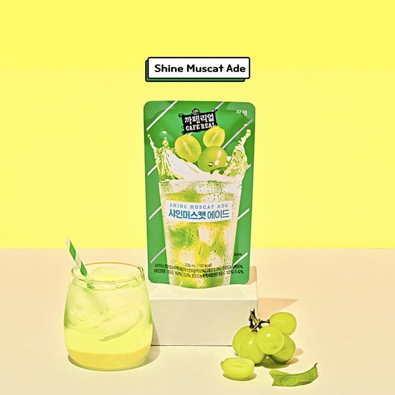Korean Covenienve Store Drink Pouch Sampler Set - 5 PACK