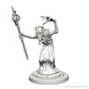 D&D Nolzurs Marvelous Unpainted Miniatures: Wave 1: Mindflayers