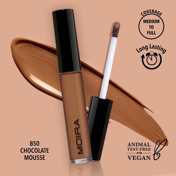 Lavish Creamy Concealer (850, Chocolate Mousse)
