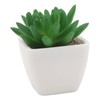 6PCS Potted Artificial Succulents Artificial Plants in Pots Plastic Fake