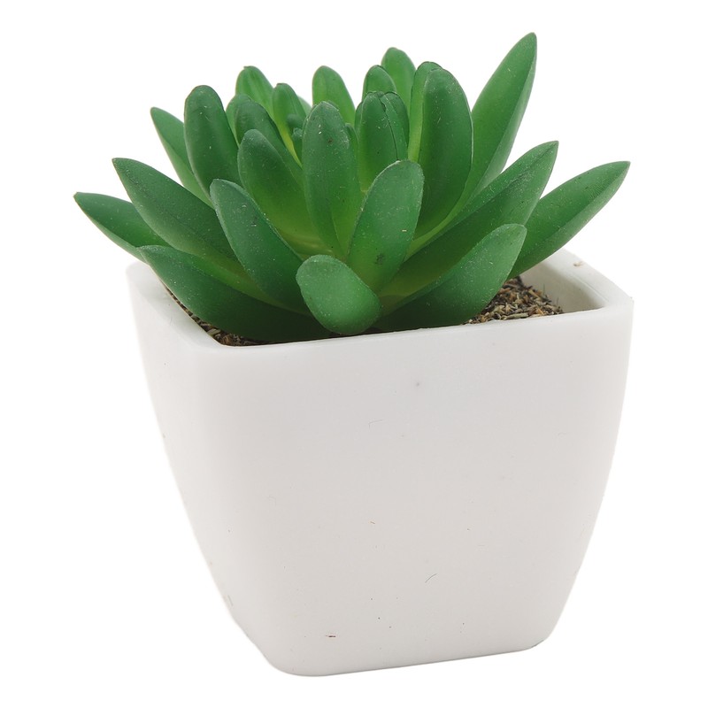 6PCS Potted Artificial Succulents Artificial Plants in Pots Plastic Fake