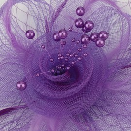 DRESHOW Fascinator Hüte für Damen Pillbox Hut mit Schleier und Gegabelten Clip Cocktail Tea Party Kopfbedeckung