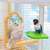 Bird Perch Stand for Cage | Parrot Perch Standing Toy