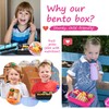 QQKO Bento Box for Kids Adults, School Toddler Lunch Box