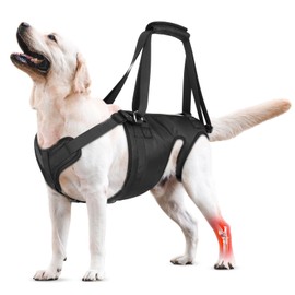 Dog Lift Harness, Dog Sling for Large Medium Dogs' Hind Leg Support Pee-Able. Ideal for Seniors, Disabled, Injured & Arthritic Dogs in ACL Recovery, Secure Harness for Assisted Mobility