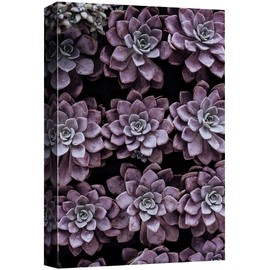 SIGNFORD Canvas Print Wall Art Purple Rose Succulent Array Floral Plants Photography Realism Southwest Relax/Calm Multicolor Ultra for Living Room, Bedroom, Office - 32"x48"
