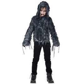 California Costumes Boys Zombie Hoodie Child Costume Black/Gray, Medium