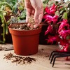 R&R SHOP Medium Expanded Vermiculite, pH Neutral, Ideal for Germination,