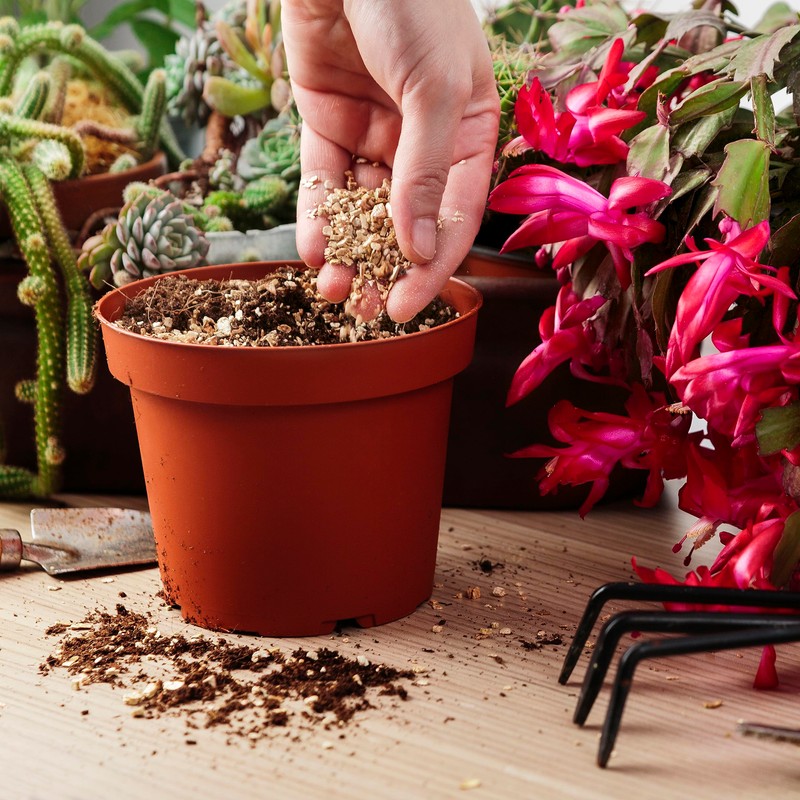 R&R SHOP Medium Expanded Vermiculite, pH Neutral, Ideal for Germination,