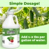 Garden Fertilizer, Complete Liquid Garden Plant Food for Edible Plants,