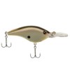 Frittside Honey Shad 9 (1/2oz)