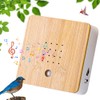 Mineup Bird Chirping Box, Natural Sounds Box, Bird Singing Motion