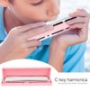 Professional Mouthorgan Harmonica Diatonic Harp C Key Stainless Steel Cover