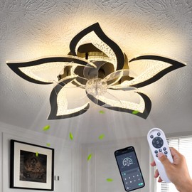 haodengshi 27" Black Geometric Ceiling Fan Lights with Remote, 6 Speeds Adjustable Low Profile Flush Mount Ceiling Fan with Light for Kitchen Bedroom
