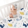Little Grape Land Baby Fitted Sheets - Fitted Sheets for